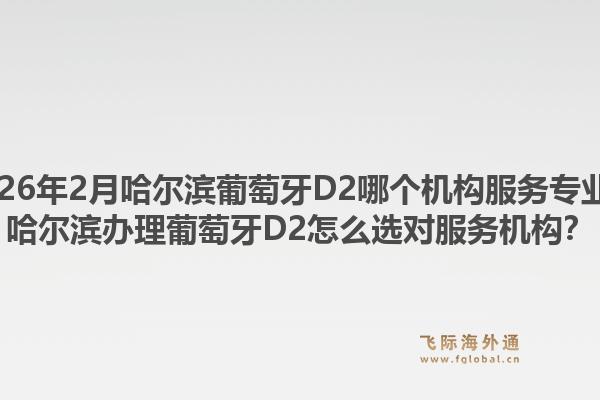2026年2月哈尔滨葡萄牙D2哪个机构服务专业？哈尔滨办理葡萄牙D2怎么选对服务机构？1.jpg