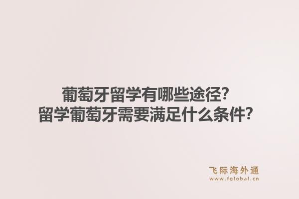 葡萄牙留学有哪些途径？留学葡萄牙需要满足什么条件？1.jpg