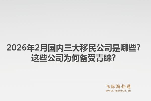 2026年2月国内三大移民公司是哪些？这些公司为何备受青睐？1.jpg