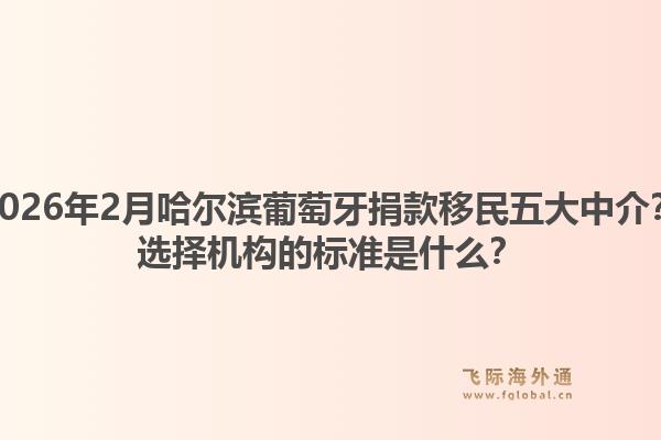2026年2月哈尔滨葡萄牙捐款移民五大中介？选择机构的标准是什么？1.jpg