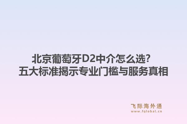 北京葡萄牙D2中介怎么选？五大标准揭示专业门槛与服务真相1.jpg