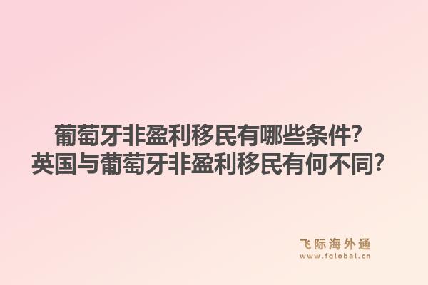 葡萄牙非盈利移民有哪些条件？英国与葡萄牙非盈利移民有何不同？1.jpg