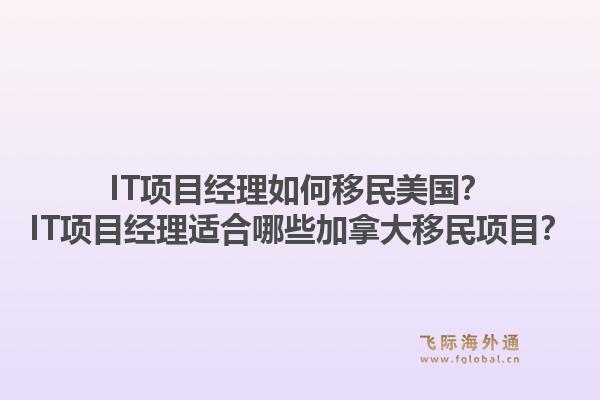 IT项目经理如何移民美国?IT项目经理适合哪些加拿大移民项目?1.jpg