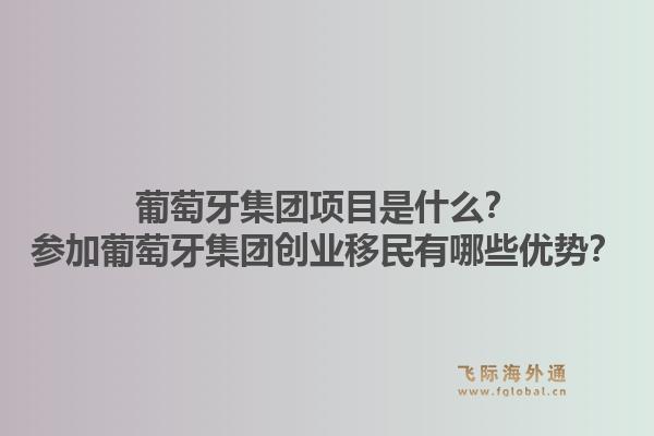 葡萄牙集团项目是什么？参加葡萄牙集团创业移民有哪些优势？1.jpg