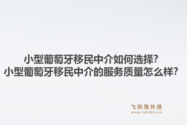 小型葡萄牙移民中介如何选择？小型葡萄牙移民中介的服务质量怎么样？