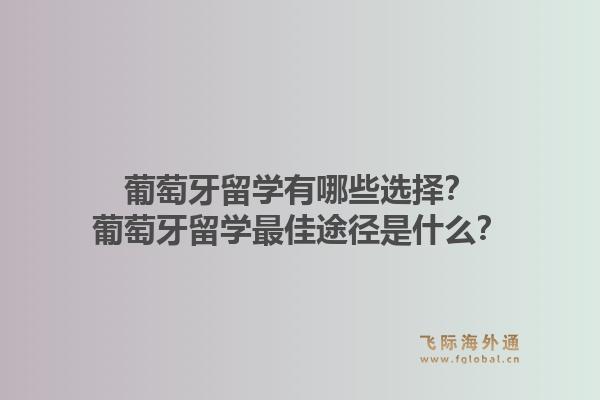 葡萄牙留学有哪些选择？葡萄牙留学最佳途径是什么？1.jpg