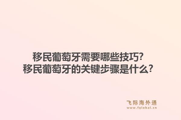 移民葡萄牙需要哪些技巧？移民葡萄牙的关键步骤是什么？