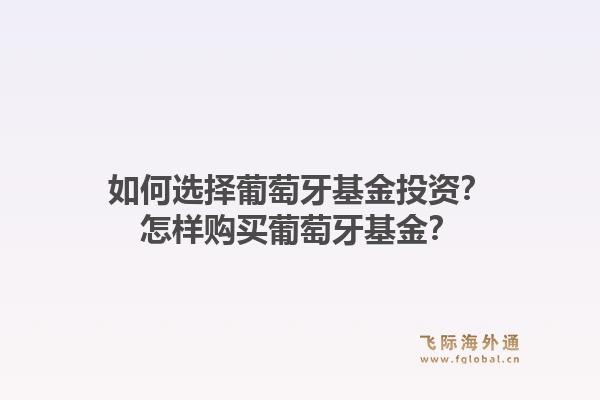 如何选择葡萄牙基金投资？怎样购买葡萄牙基金？1.jpg