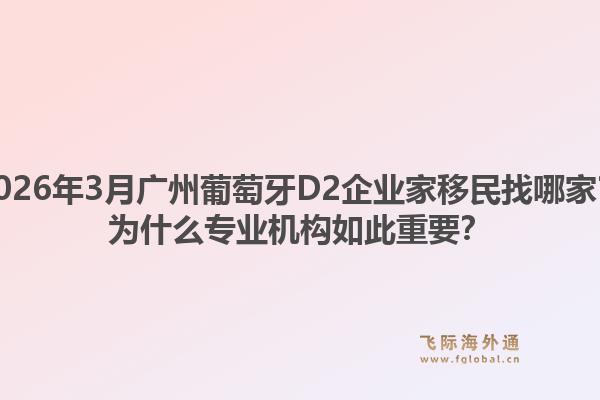 2026年3月广州葡萄牙D2企业家移民找哪家？为什么专业机构如此重要？1.jpg