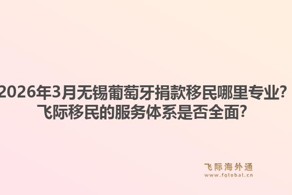 2026年3月无锡葡萄牙捐款移民哪里专业？飞际移民的服务体系是否全面？1.jpg