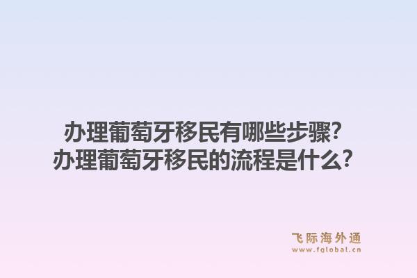 办理葡萄牙移民有哪些步骤？办理葡萄牙移民的流程是什么？