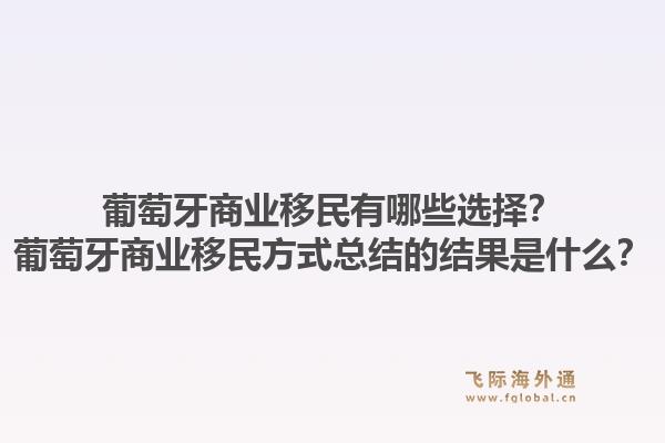 葡萄牙商业移民有哪些选择？葡萄牙商业移民方式总结的结果是什么？