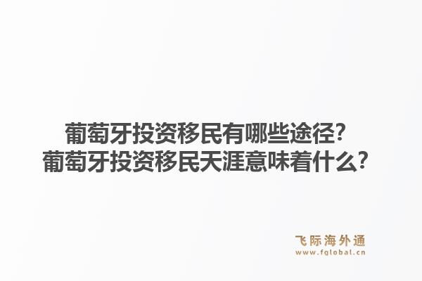 葡萄牙投资移民有哪些途径？葡萄牙投资移民天涯意味着什么？