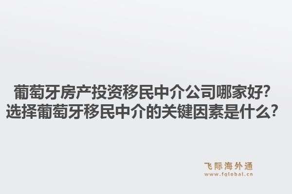 葡萄牙房产投资移民中介公司哪家好?选择葡萄牙移民中介的关键因素是什么?1.jpg