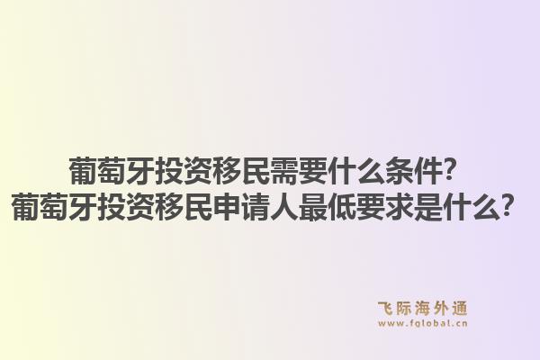 葡萄牙投资移民需要什么条件?葡萄牙投资移民申请人最低要求是什么?1.jpg