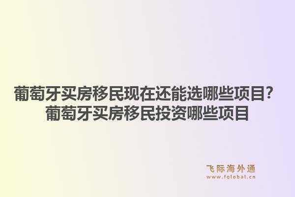 葡萄牙买房移民现在还能选哪些项目?葡萄牙买房移民投资哪些项目1.jpg