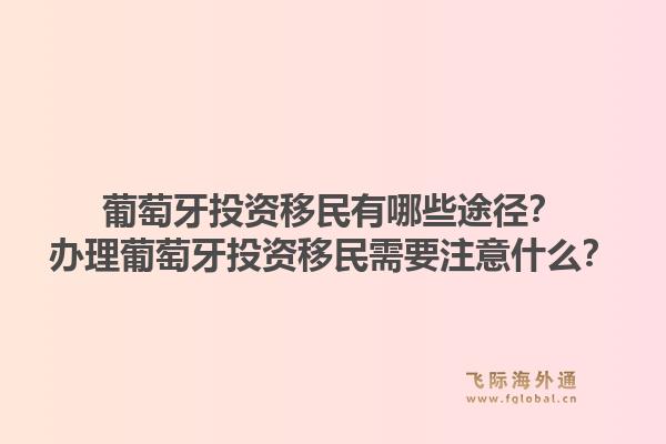 葡萄牙投资移民有哪些途径？办理葡萄牙投资移民需要注意什么？