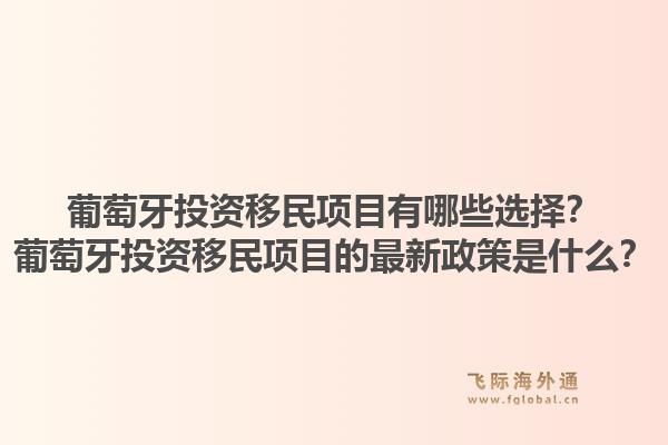 葡萄牙投资移民项目有哪些选择?葡萄牙投资移民项目的最新政策是什么?1.jpg