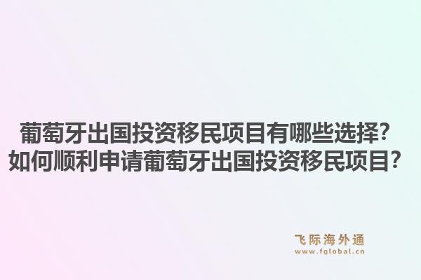 葡萄牙出国投资移民项目有哪些选择？如何顺利申请葡萄牙出国投资移民项目？