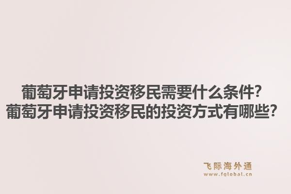 葡萄牙申请投资移民需要什么条件？葡萄牙申请投资移民的投资方式有哪些？1.jpg