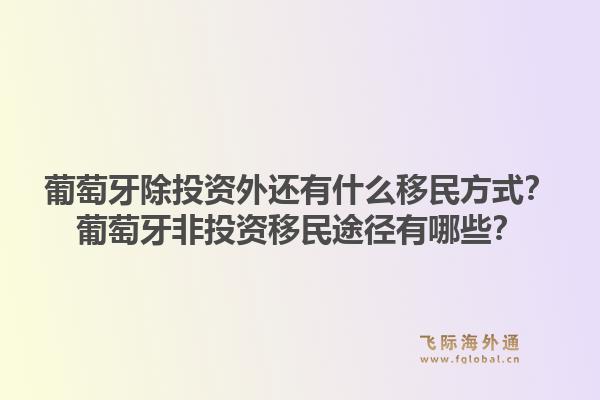 葡萄牙除投资外还有什么移民方式？葡萄牙非投资移民途径有哪些？