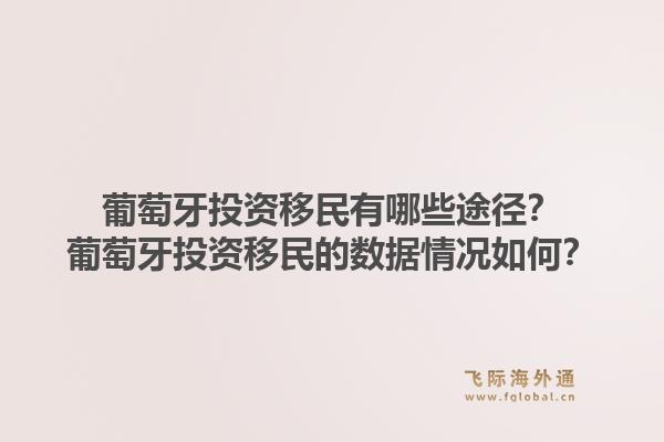 葡萄牙投资移民有哪些途径？葡萄牙投资移民的数据情况如何？