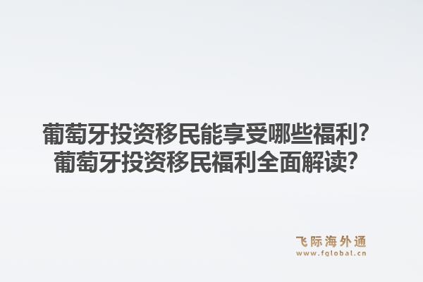 葡萄牙投资移民能享受哪些福利？葡萄牙投资移民福利全面解读？