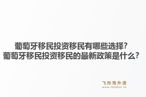 葡萄牙移民投资移民有哪些选择？葡萄牙移民投资移民的最新政策是什么？