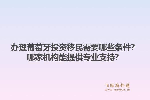 办理葡萄牙投资移民需要哪些条件？哪家机构能提供专业支持？