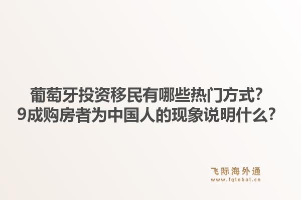 葡萄牙投资移民有哪些热门方式？9成购房者为中国人的现象说明什么？1.jpg